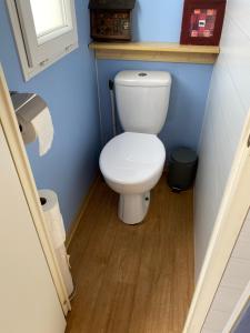 a bathroom with a white toilet in a blue wall at Louisiana in Anloo +24 photos