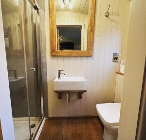 La salle de bains est pourvue d'un lavabo, de toilettes et d'un miroir. dans l'établissement Bertie's Retreat, à Foolow