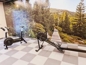 a gym with two exercise bikes in a room with a view at Apartament A2 DOMiTU z Basenem, Sauną, Jacuzzi - 5D Apartments in Szklarska Poręba
