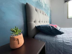 una maceta sentada en una mesa junto a una cama en Equiped private rooms at nice residence in Morelia, en Morelia