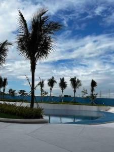 a palm tree in a park with the ocean in the background at Haldis Suites in San Fernando