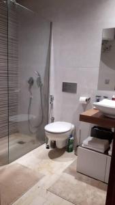 a bathroom with a shower and a toilet and a sink at Chez Miguel appartement Casablanca avec piscine in Casablanca