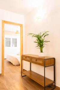 a bedroom with a mirror and a table with a plant on it at KALIMA APARTMENT in Puerto del Carmen