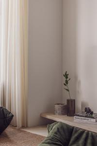 a room with a shelf with a potted plant on it at DUNE DU PALACE in Zeebrugge