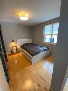 una camera con un letto in una stanza con una finestra di Bijou in den Bergen a Disentis