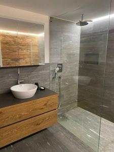 a bathroom with a sink and a glass shower at Bijou in den Bergen in Disentis