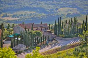 a road with a house and a bunch of trees at Tenuta Colombaio in Casole dʼElsa
