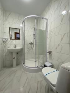 利維夫的住宿－Hotel Rover，带淋浴、卫生间和盥洗盆的浴室