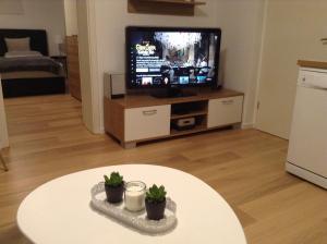 a living room with a tv and a table with plants at EBH HOME in Filderstadt