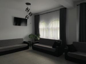a living room with a couch and a chair and a window at Din Natura in Vărbilău