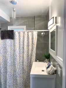 a bathroom with a sink and a shower curtain at The Horseshoe Falls Villa in Niagara Falls