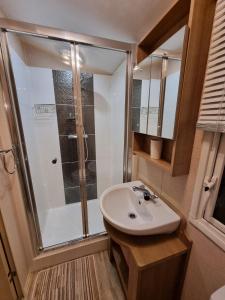 a bathroom with a shower and a sink at moonflower lodge in Newton on the Moor