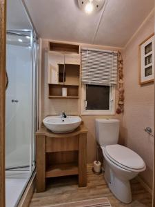 a bathroom with a toilet and a sink and a shower at moonflower lodge in Newton on the Moor