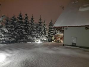 Domek nad Potokiem w górach v zime