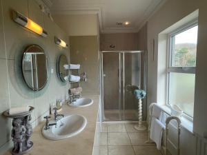 Vannituba majutusasutuses Glendine Country House Wexford