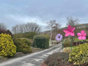 Aed väljaspool majutusasutust Glendine Country House Wexford