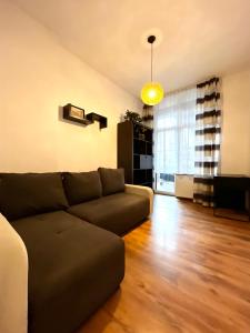 Fotografia z galérie ubytovania Charming Spacious Apartment v Krakove
