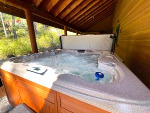 un jacuzzi installé à l'intérieur d'une maison dans l'établissement Big Mountain Basecamp, à Whitefish 79 autres photos