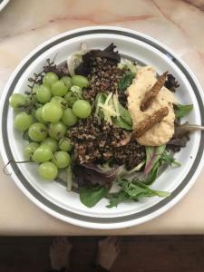 a plate of food with grapes and bread on a table at Sewall House Yoga Retreat in Island Falls +16 photos
