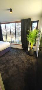 a bedroom with a plant in a pot next to a window at Contemporary Dublin Airport Lodge in Lispapple Cross Roads