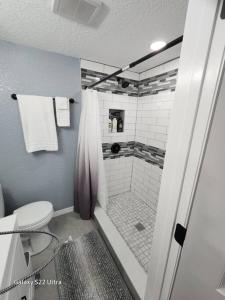 a bathroom with a shower with a toilet and a sink at Studio 3! in Lakeland