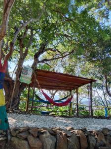 a hammock in front of a tree with a canopy at tayrona breeze in Santa Marta