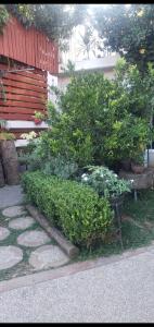 un jardín con un banco y algunos arbustos y árboles en Casa Marú, en Oaxaca City