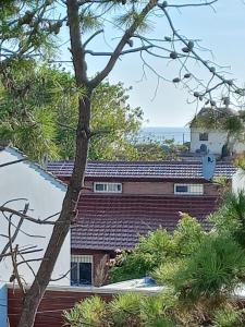 una vista de una casa desde un árbol en soma departamentos en Las Toninas