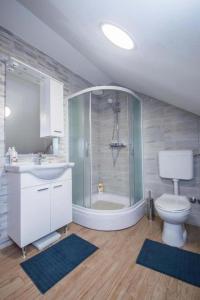 a bathroom with a shower and a toilet and a sink at Apartments for families with children Jakovci Netreticki, Karlovac - 20495 in Netretić