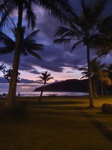 um grupo de palmeiras numa praia ao pôr do sol em Pé na Areia Sons do Mar no Guarujá