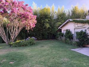 un patio con una casa y un árbol con flores rosas en Quinta El Tala en Lobos
