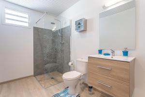 a bathroom with a shower and a toilet and a sink at LA DESIRADE SAINTE-ANNE in Sainte-Anne +8 photos