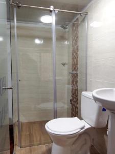 a bathroom with a shower and a toilet and a sink at HOTEL DANUBIO in Bogotá