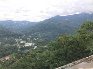 een uitzicht op een bergvallei met bomen en huizen bij Yellow Sapphire, Premium Sikkimese Homestay in Gangtok