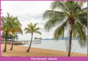 a group of palm trees on a beach with a pier at Strand Park Unit - U1 Ground floor in Townsville