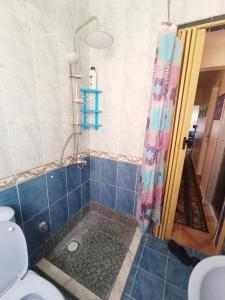 a bathroom with a shower with a toilet and a shower curtain at Cozy apartment with a private garden in Giza in Sheikh Zayed