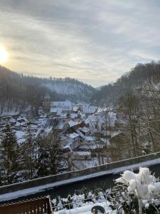 a village covered in snow with the sun in the background at Pfefferberg in Ziegenrück