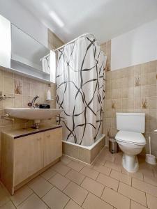 a bathroom with a toilet and a sink at Les Mayens de l'Ours - At the foot of Piste de l'Ours' slope! in Agettes