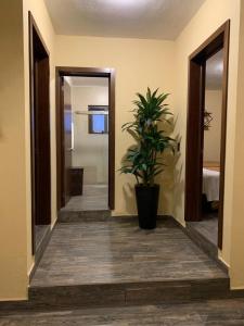 Fotografie z fotogalerie ubytování Cabaña No.7 Puerta del Bosque Mazamitla. v destinaci Mazamitla
