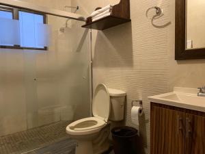 y baño con aseo, ducha y lavamanos. en Cabaña No.7 Puerta del Bosque Mazamitla., en Mazamitla