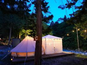 une tente est installée à côté d'un arbre la nuit dans l'établissement リバーサイドグランピングNuts, à Higashiomi