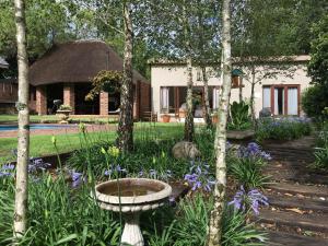 a garden with a bird bath in front of a house at Olive Branch Cottage off grid in Benoni