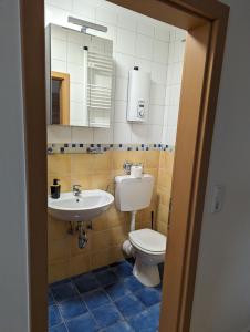 a bathroom with a toilet and a sink at Fewo Ettelsberg Niedersfeld in Winterberg