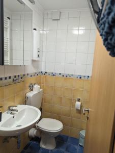 La salle de bains est pourvue de toilettes et d'un lavabo. dans l'établissement Fewo Ettelsberg Niedersfeld, à Winterberg