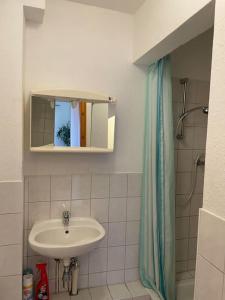 a bathroom with a sink and a mirror and a shower at Quartier für zwei in Thale