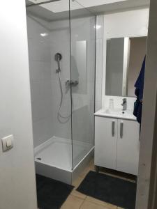 een badkamer met een douche en een wastafel bij Le Studio Cosy II - Sainte Clotilde in Saint-Denis