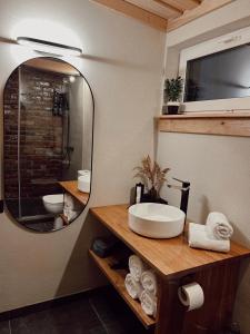 的住宿－Hercogi，一间带水槽和镜子的浴室