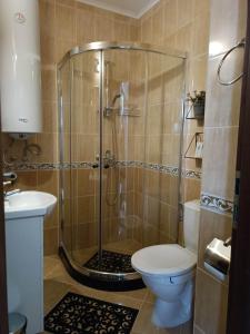 uma casa de banho com um chuveiro, um WC e um lavatório. em Студио "Птича Песен" - Studio "Birdsong", Смолянски езера em Smolyan