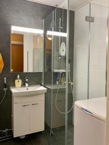 a bathroom with a shower and a sink and a shower at Huttu - Ihqu kaksio mahtavalla sijainnilla in Iisalmi