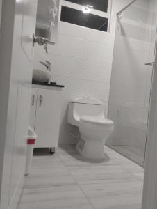 杜伊塔馬的住宿－Refugio Flores de María，白色的浴室设有卫生间和淋浴。